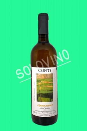 conti orange scaled 1