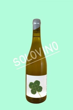 singulars quadrifoglio