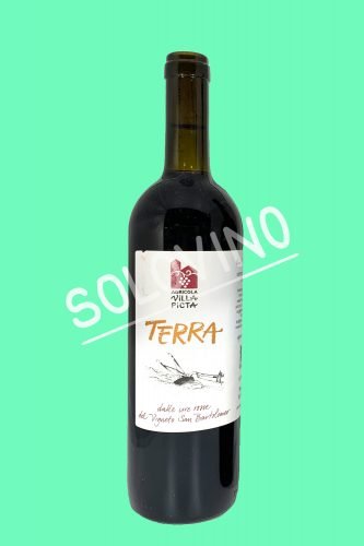 terra villa picta scaled 1