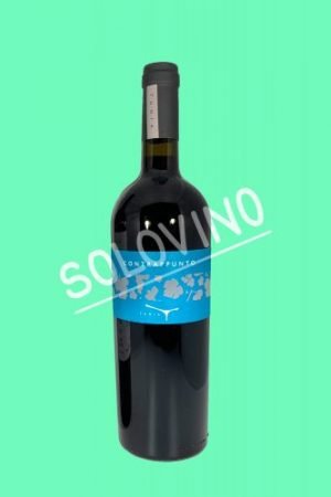 tunia contrappunto scaled 1