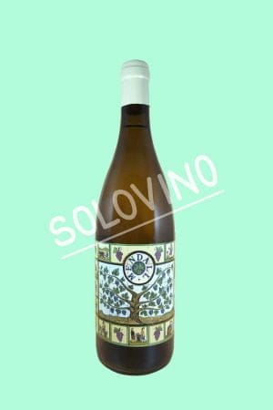 laureano serres mendall blanc all in 2