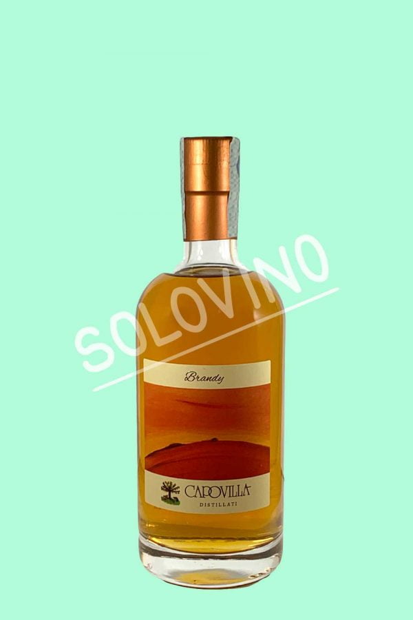 brandy capovilla