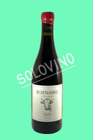 schnabel hoch