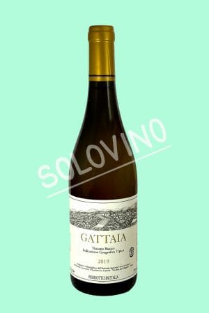 gattaia bianco