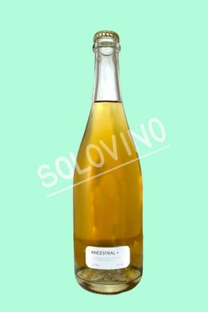 angulo ancestral plus 2014