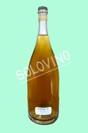 angulo magnum