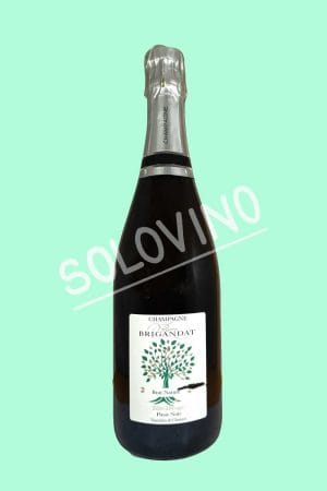brigandat pinot