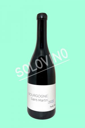 saint martin