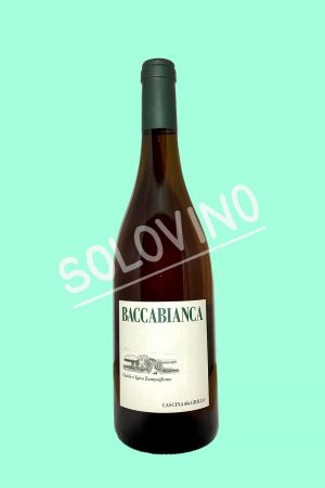 baccabianca