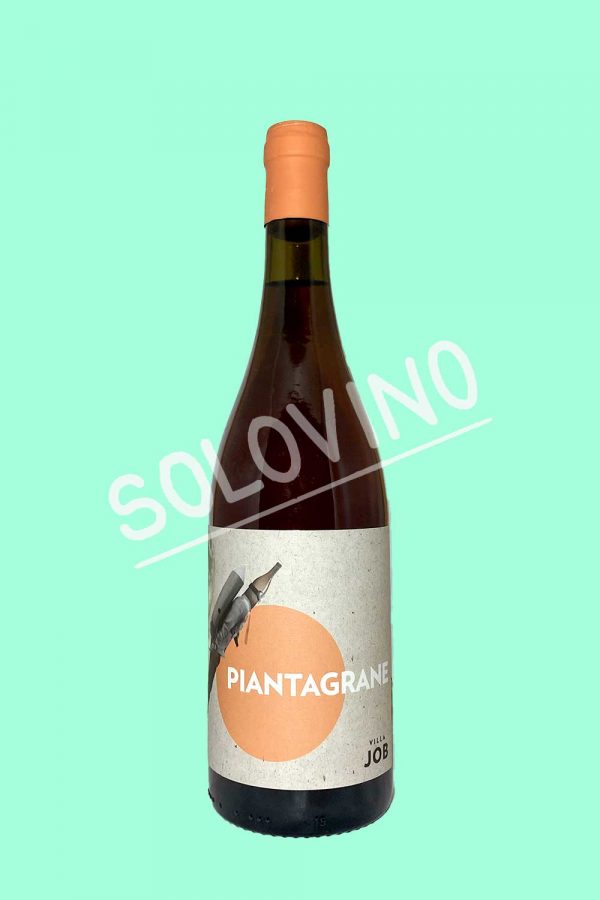piantagrane