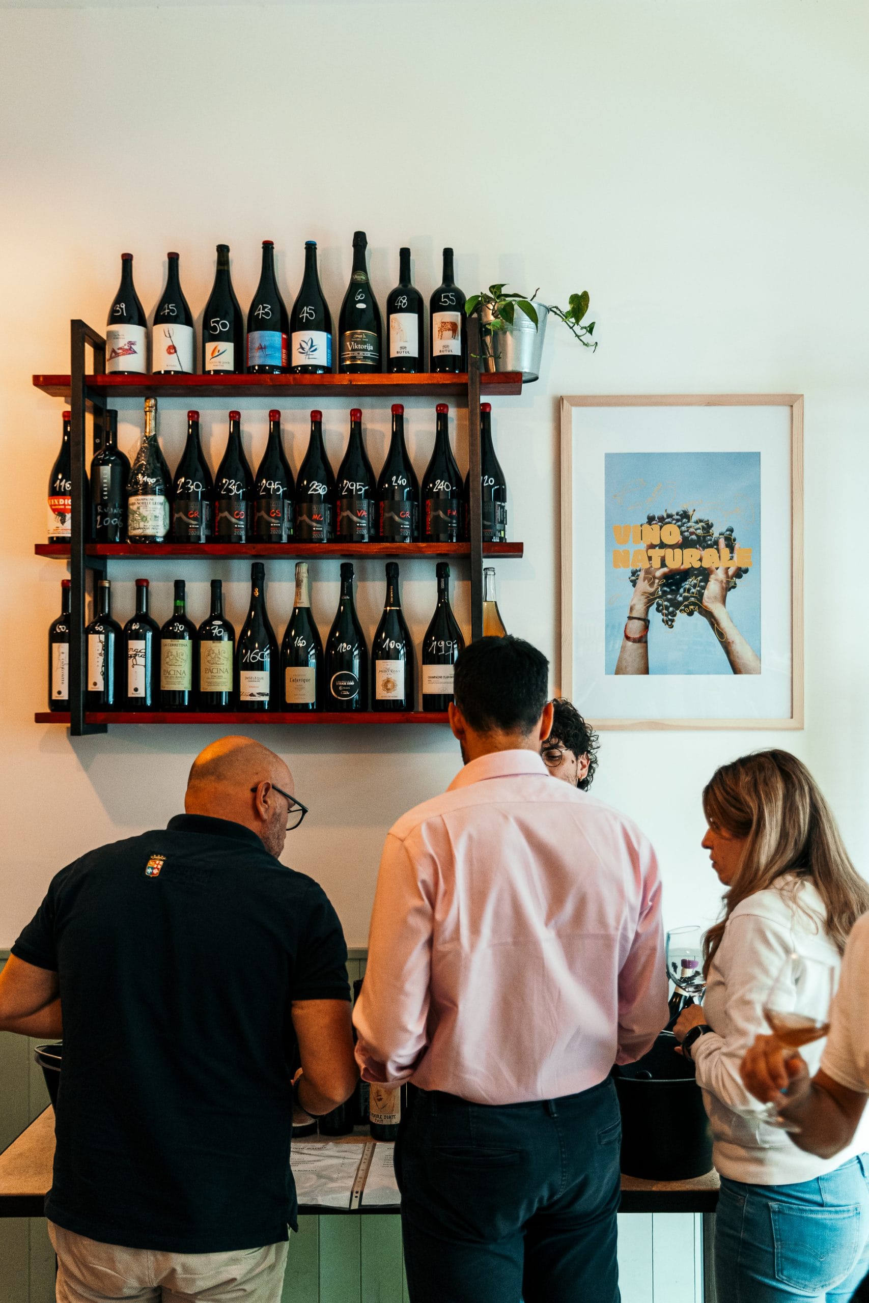 SoloVini 62