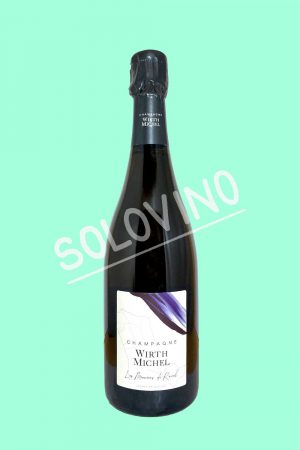 wirth michel