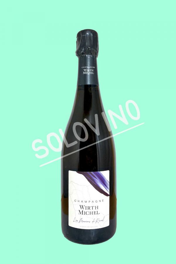 wirth michel