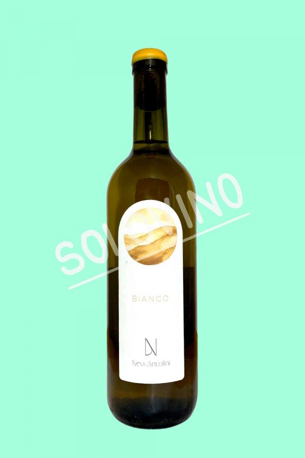 antolini bianco