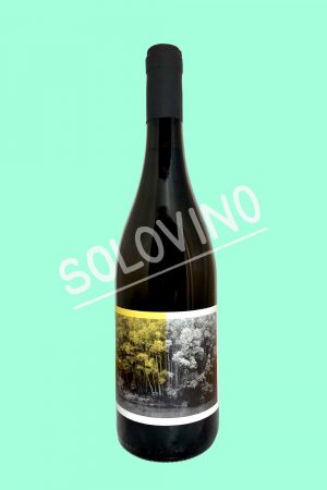 fossa malvasia