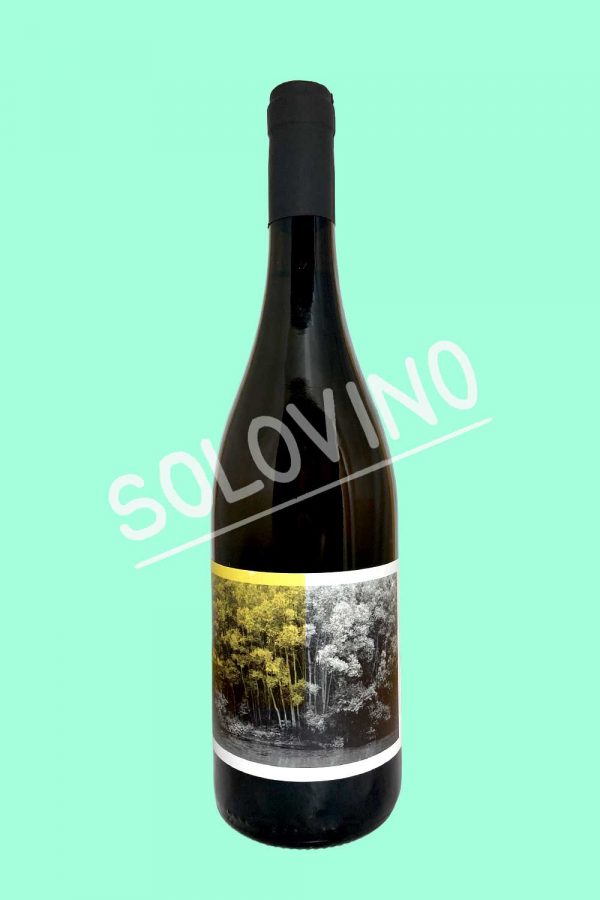 fossa malvasia