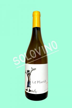 le pluriel
