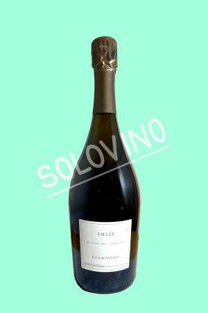vallee champagne