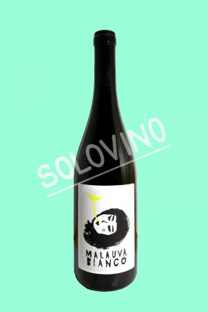 malauva bianco