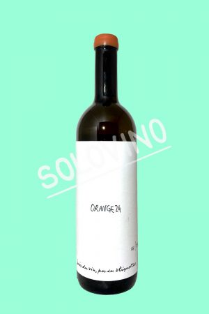 Orange 2024 DWNL ALESSANDRO SALVANO