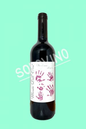 Valpolicella Classico Saseti 2025 MONTE DALL'ORA