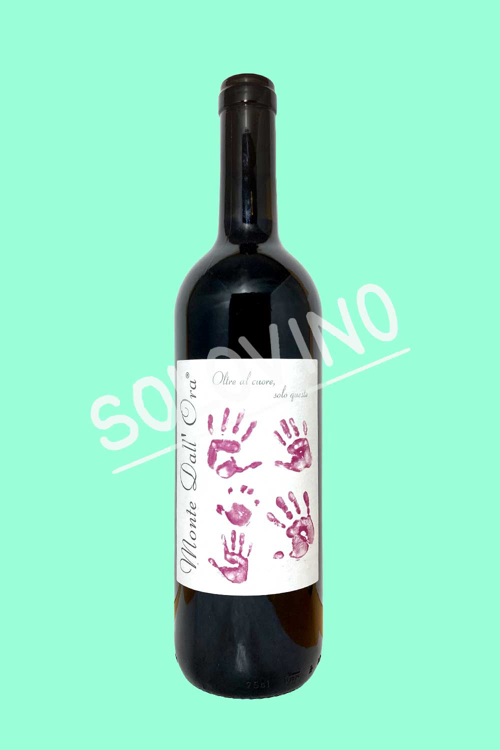 Valpolicella Classico Saseti 2025 MONTE DALL’ORA