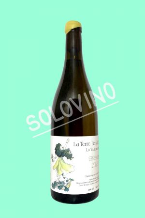 La Terre Penchée Côtes Du Jura 2023 LA TOURMENTINE