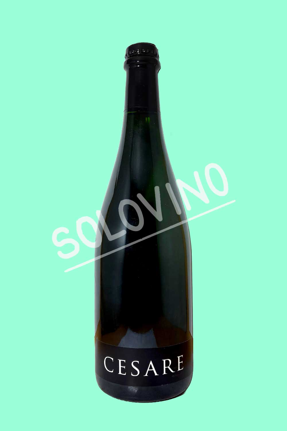 Cesare Vino Spumante Rosé Extra Brut PIANA DEI CASTELLI