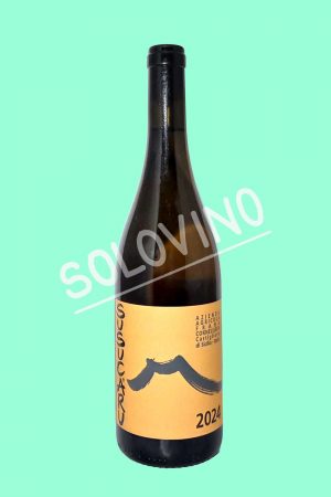 susucaru bianco