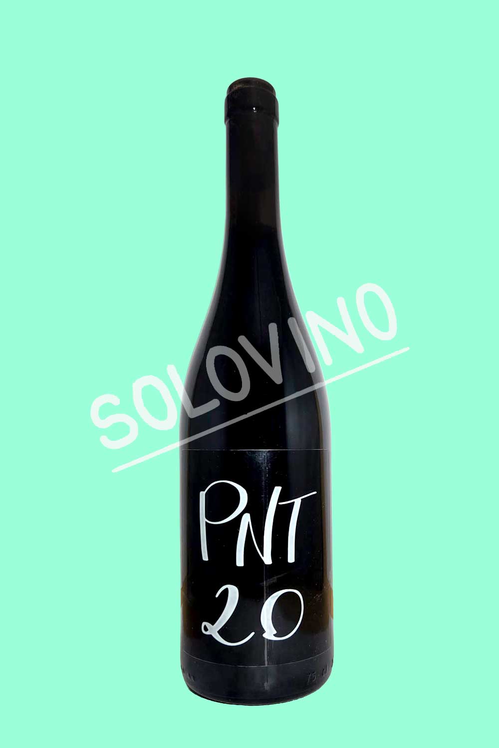 pnt 20