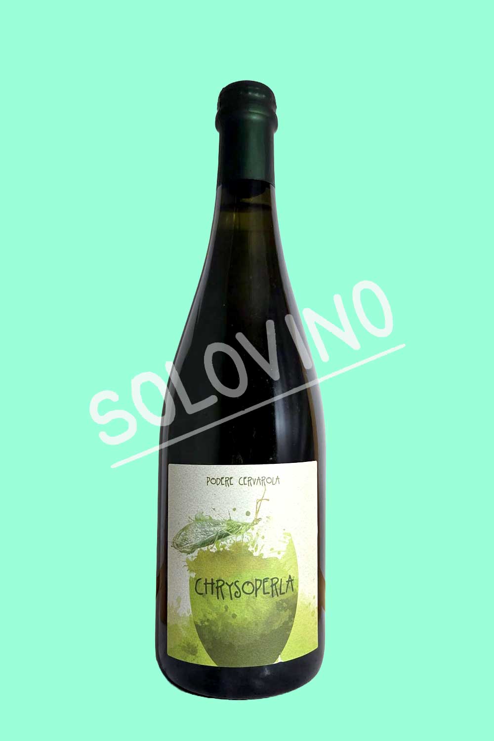 chrysoperla2