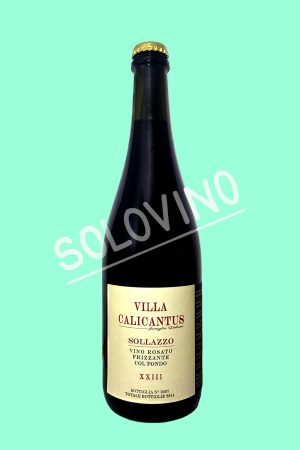 sollazzo