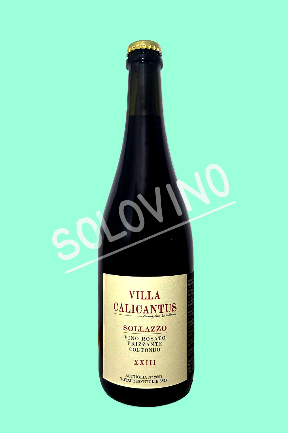 sollazzo