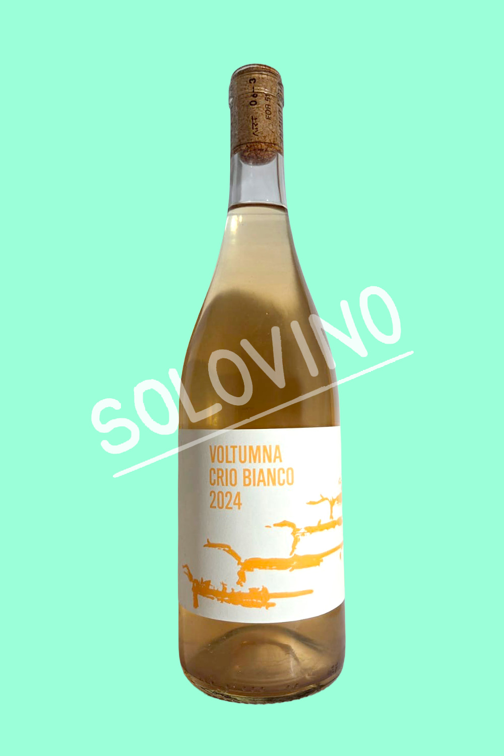 voltumna